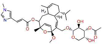 Isoeleutherobin A